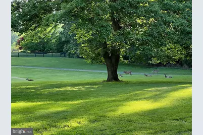 42024 Brightwood Lane, Leesburg, VA 20176 - Photo 68