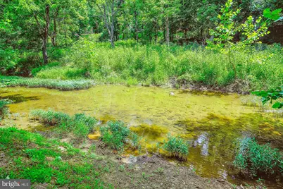 36155 Chamblin Mill Lane, Purcellville, VA 20132 - Photo 90