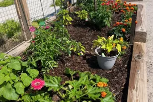 21630 Hawksbill High Cir, Sterling, VA 20164 - Photo 2