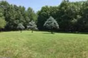 41316 Red Hill Rd, Leesburg, VA 20175 - Photo 4