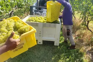 16804 Hamilton Station Rd, Hamilton, VA 20158 - Photo 18