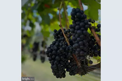 16804 Hamilton Station Road, Hamilton, VA 20158 - Photo 22