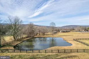 18935 Yellow Schoolhouse Rd, Bluemont, VA 20135 - Photo 70