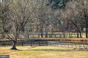 18935 Yellow Schoolhouse Rd, Bluemont, VA 20135 - Photo 60
