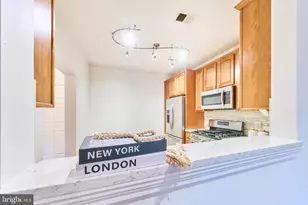 44465 Chamberlain Terrace, Ashburn, VA 20147 - Photo 10