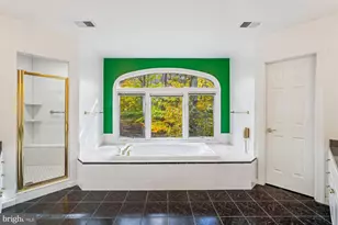 308 Sinegar Pl, Potomac Falls, VA 20165 - Photo 72