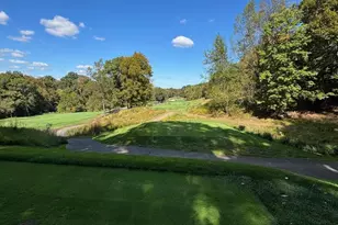 308 Sinegar Pl, Potomac Falls, VA 20165 - Photo 4