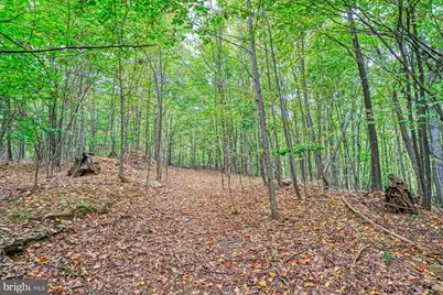 37740 Long Lane, Lovettsville, VA 20180 - Photo 48