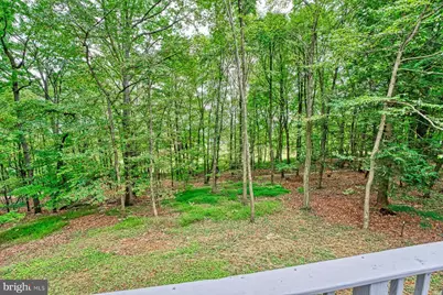 37740 Long Lane, Lovettsville, VA 20180 - Photo 42