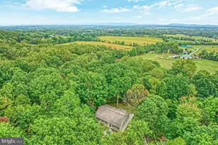 37740 Long Ln, Lovettsville, VA 20180 - Photo 50