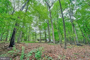 37740 Long Ln, Lovettsville, VA 20180 - Photo 46
