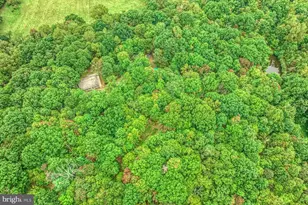 37740 Long Ln, Lovettsville, VA 20180 - Photo 52