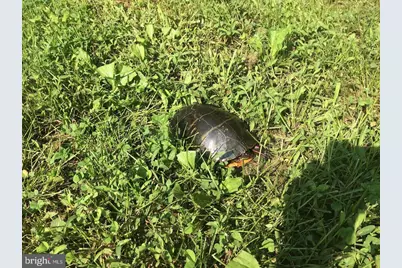 22247 Watson Road, Leesburg, VA 20175 - Photo 54