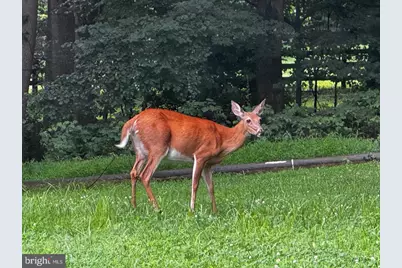 22247 Watson Road, Leesburg, VA 20175 - Photo 52