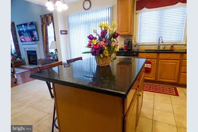 44529 Blueridge Meadows Drive, Ashburn, VA 20147 - Photo 6