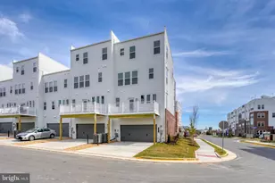 19722 Peach Flower Ter, Ashburn, VA 20147 - Photo 10