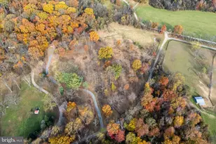 16559 Woodchase Ln, Round Hill, VA 20141 - Photo 28