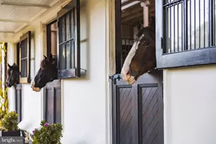 21846 Trappe Rd, Upperville, VA 20184 - Photo 40