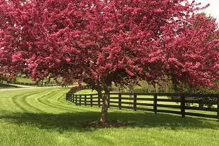 15700 Trapshire Ct, Waterford, VA 20197 - Photo 102