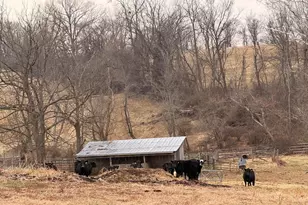 35047 Snickersville Turnpike, Round Hill, VA 20141 - Photo 56