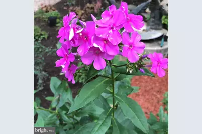 12080 Axline Road, Lovettsville, VA 20180 - Photo 52