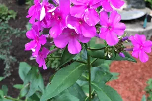 12080 Axline Rd, Lovettsville, VA 20180 - Photo 52