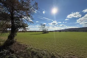 12080 Axline Rd, Lovettsville, VA 20180 - Photo 36