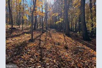 0 Digging Bear Ln, Purcellville, VA 20132 - Photo 2