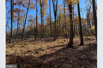 0 Digging Bear Ln, Hillsboro, VA 20132 - Photo 1