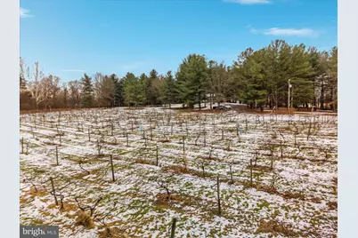 43301 Spinks Ferry Road, Leesburg, VA 20176 - Photo 98