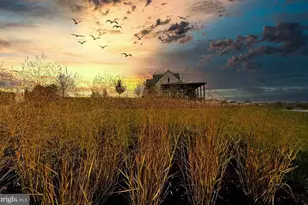 23669 Golden Embers Square, Ashburn, VA 20148 - Photo 76