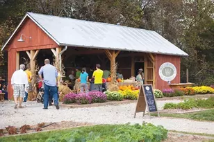 40986 Foxtail Fields Dr, Aldie, VA 20105 - Photo 60