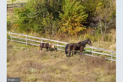 19937 Evergreen Mills Road, Leesburg, VA 20175 - Photo 110