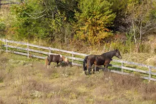 19937 Evergreen Mills Rd, Leesburg, VA 20175 - Photo 110