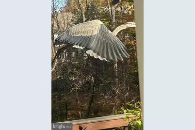 47501 Sharpskin Island Square, Sterling, VA 20165 - Photo 6