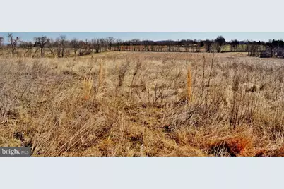 Shushan Lane, Lovettsville, VA 20180 - Photo 4