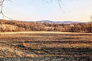 40455 Quarter Branch Rd, Lovettsville, VA 20180 - Photo 1