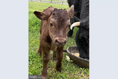 22887 Hopeful Lane, Middleburg, VA 20117 - Photo 20