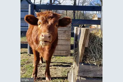 22887 Hopeful Lane, Middleburg, VA 20117 - Photo 18