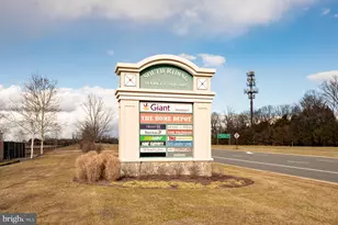 42919 Pamplin Terrace, Chantilly, VA 20152 - Photo 66