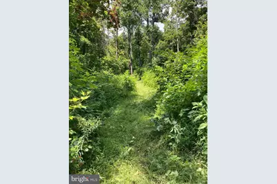 13477 Mountain Road, Lovettsville, VA 20180 - Photo 12