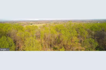 13477 Mountain Road, Lovettsville, VA 20180 - Photo 10