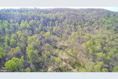 13477 Mountain Road, Lovettsville, VA 20180 - Photo 8