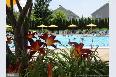 41919 Moreland Mine Terrace, Aldie, VA 20105 - Photo 8