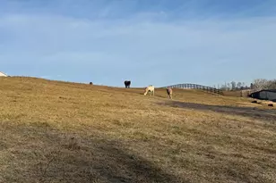 18390 Silcott Springs Rd, Purcellville, VA 20132 - Photo 2