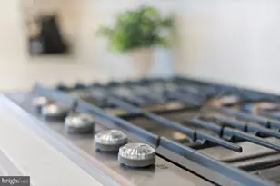 19126 Stream Crossing Ct, Leesburg, VA 20176 - Photo 36