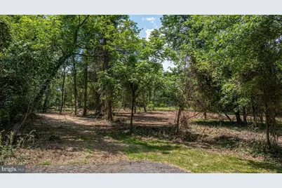 0 Austin Grove Rd, Bluemont, VA 20135 - Photo 4