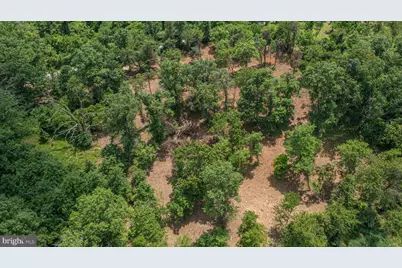 0 Austin Grove Rd, Bluemont, VA 20135 - Photo 10