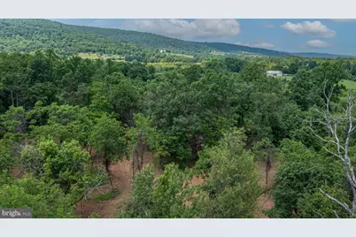 0 Austin Grove Rd, Bluemont, VA 20135 - Photo 12