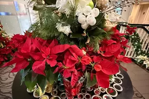 18395 Kingsmill St, Leesburg, VA 20176 - Photo 76